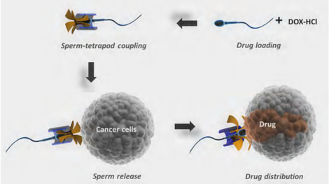 'Mass Explosion' of Bull Semen After Fire at Genetics Lab