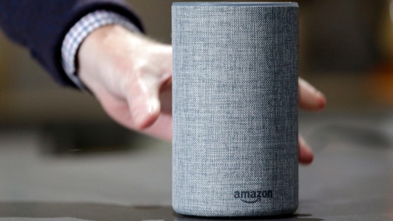 An Amazon Echo.