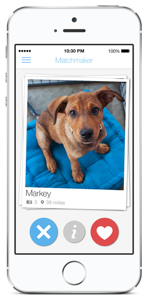 Illustration for article titled Who needs Tinder when you can have BarkBuddy?