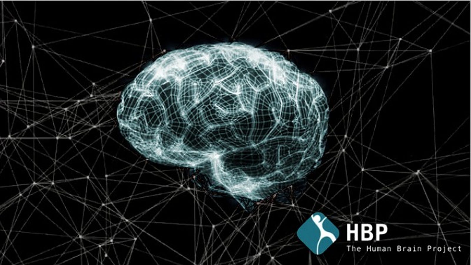 Brain project. Human Brain Project. Проект мозг. Международный проект мозг человека. Human Brain Project логотип.