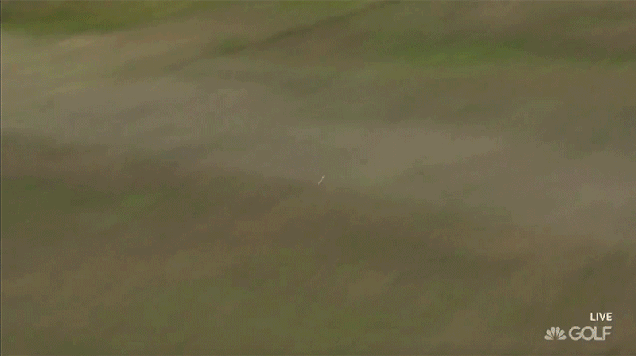 e9znhrr2sejliusdtrxv.gif