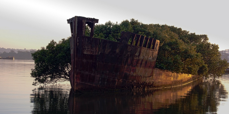 red dead 2 online abandoned ship on island
