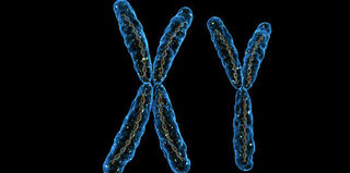 The Agency Collection/Getty Images