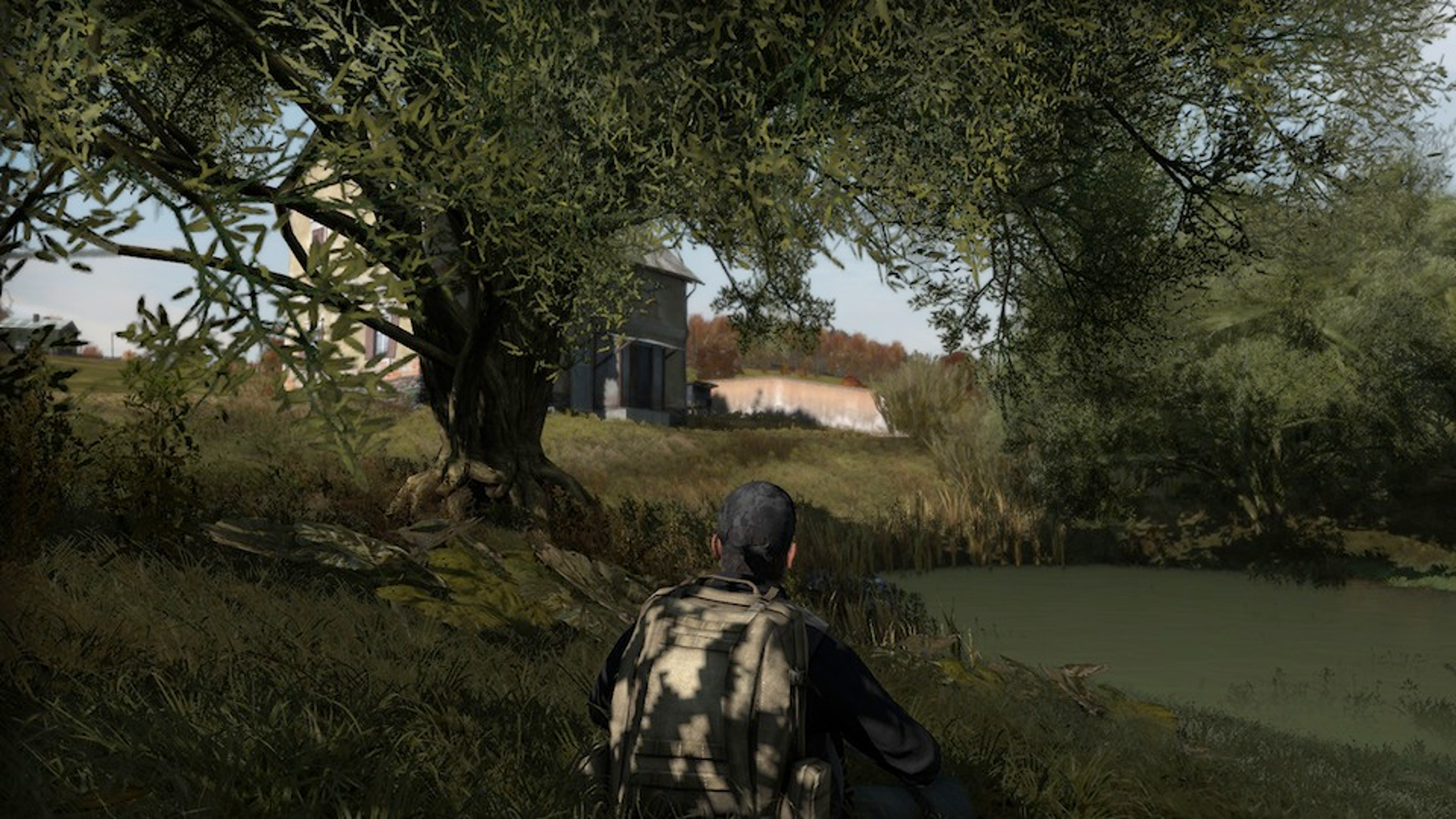 dayz for mac