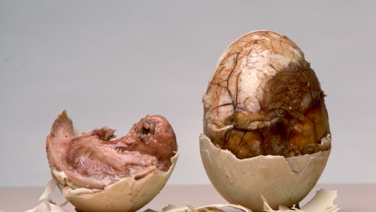 Image result for balut egg philippines