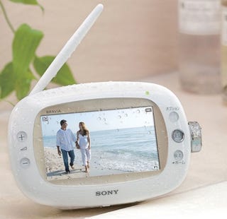 Illustration for article titled Sony's XDV-W600 Portable TV Does Something Like No Other Bravia: Goes Bathing