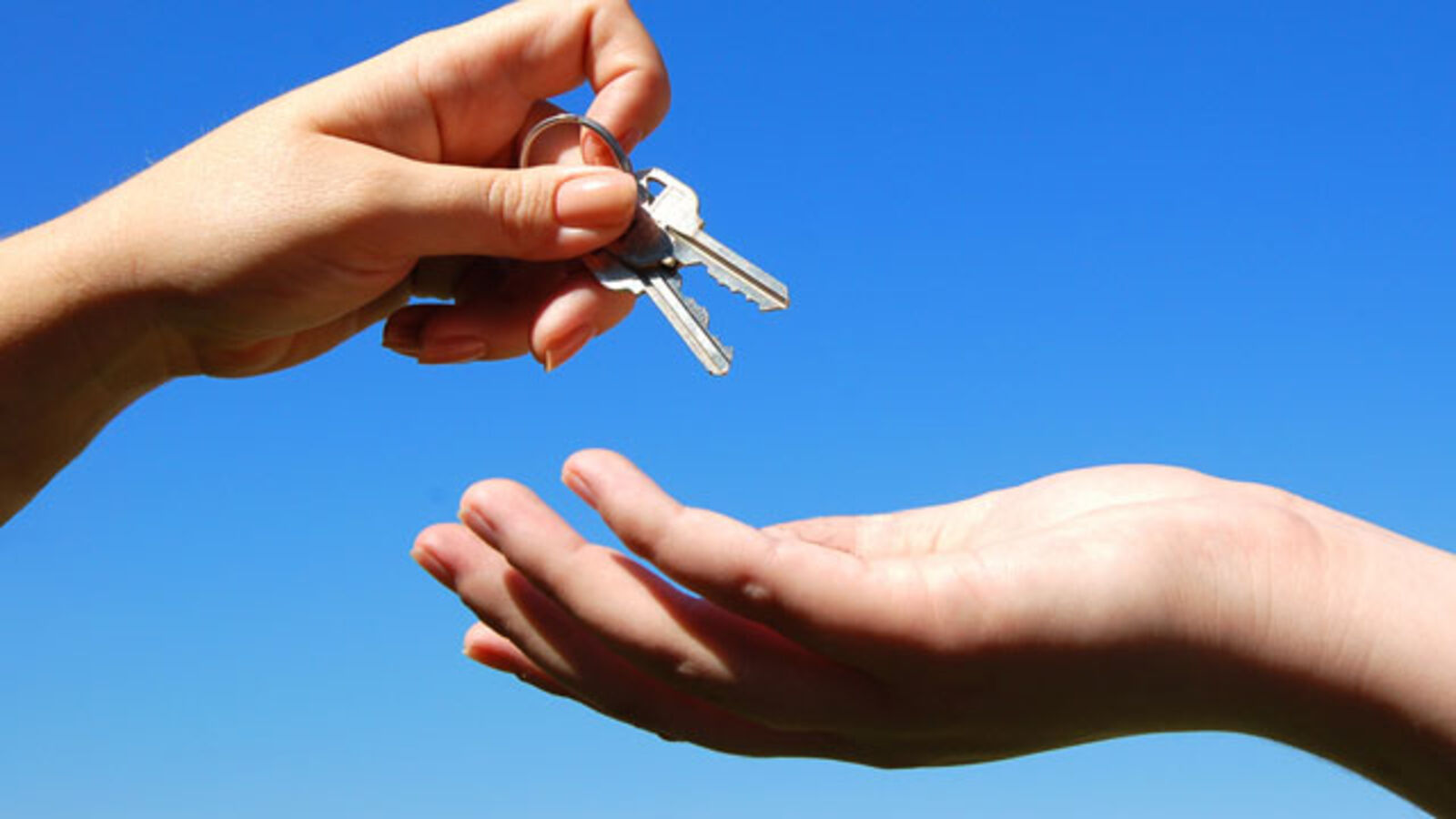 What Do I Need to Look Out for In an Apartment Landlord?