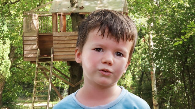 Sweating, Beet-Red Child Descends From Treehouse Assuring Everyone It Not Too Hot To Play Up There