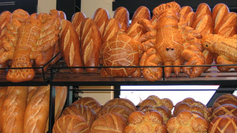 san-francisco-s-iconic-sourdough-is-made-from-160-year-old-yeast