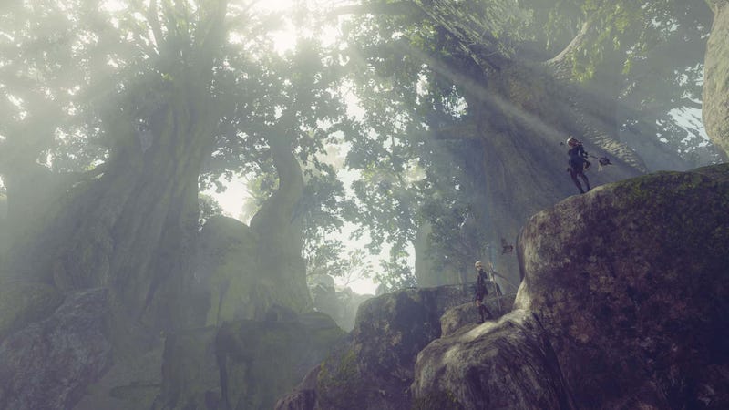 Illustration for article titled Nier Automata: Part 3 - Into the Forest