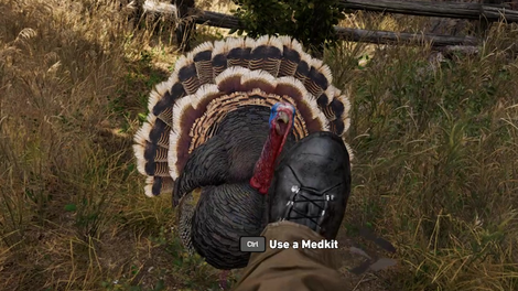 Well This Was A Pretty Ridiculous Far Cry 5 Bug