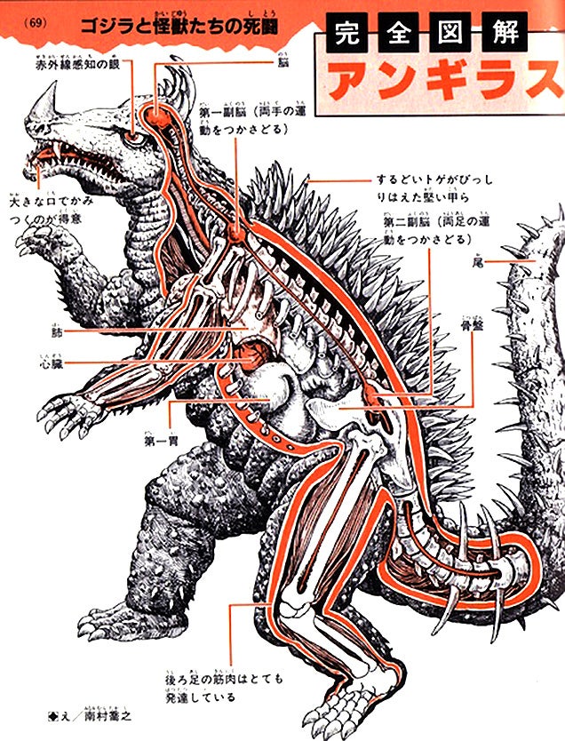 These Cool Drawings Show the Anatomy of Godzilla and all His Friends ...