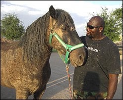Illustration for article titled Leonard Davis Gives A Damn About Your Horse