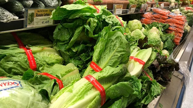 Here's What's Wrong With Romaine Lettuce