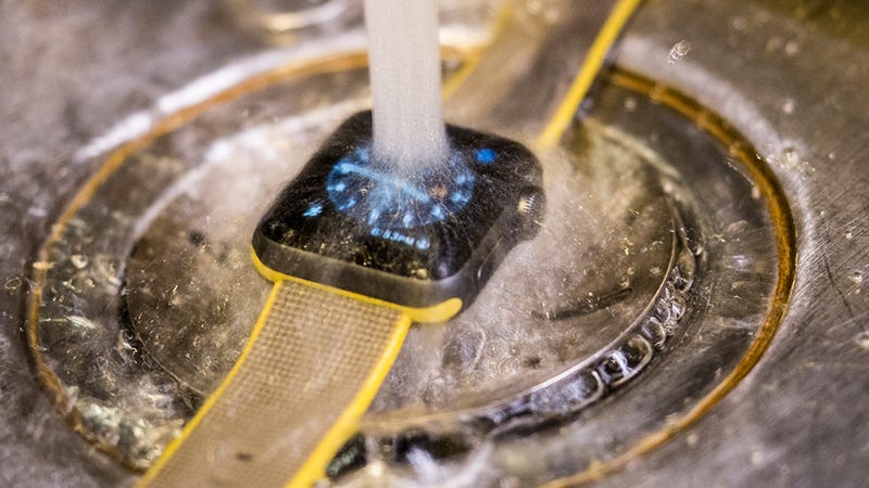 Imagen: Alex Cranz / Gizmodo