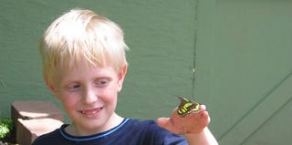 Liza Long's son (Liza Long/The Anarchist Soccer Mom)