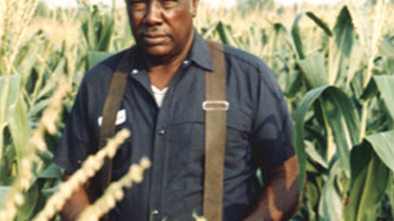 Illustration for article titled Senate Approves $1B Black Farmer Settlement