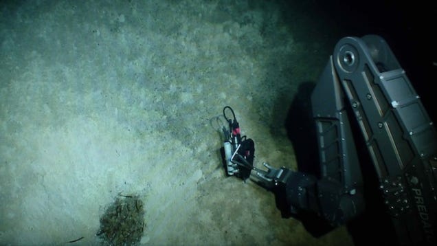 The First Pictures of Life in the Deepest Ocean Vents Ever Discovered