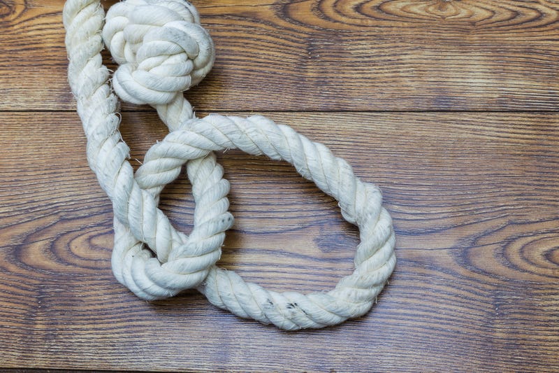 Illustration for article titled Police Investigate Possible Noose at Oakland Elementary School: ‘It Was Triggering and Hurtful’