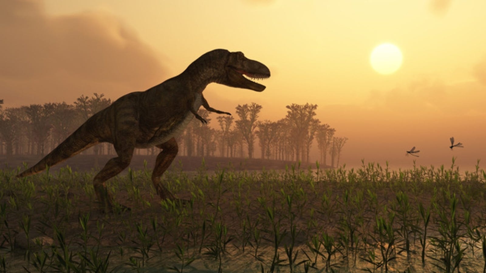 the dinosaurs went extinct