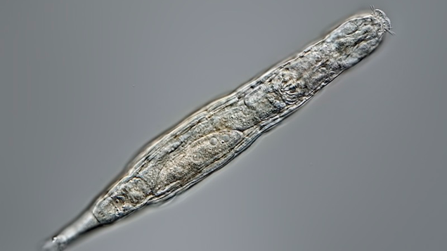 1e4955a3d4715f9a1b89596a7d5ebf70.png