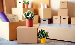 Illustration for article titled Help
Make Your Existence Simpler Having A Junk Removal Service