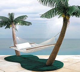 Illustration for article titled Tropical Island Hammock