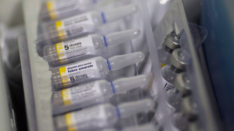 Brazilian hospitals are stocked with yellow fever vaccine, above, but the country continues to deal with ongoing outbreaks of the mosquito-borne disease.