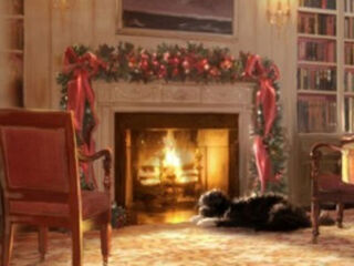 Illustration for article titled Palin's Problem With White House Holiday Card