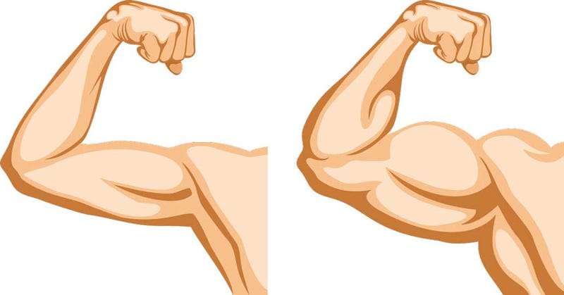 Illustration for article titled What Are Steroids?