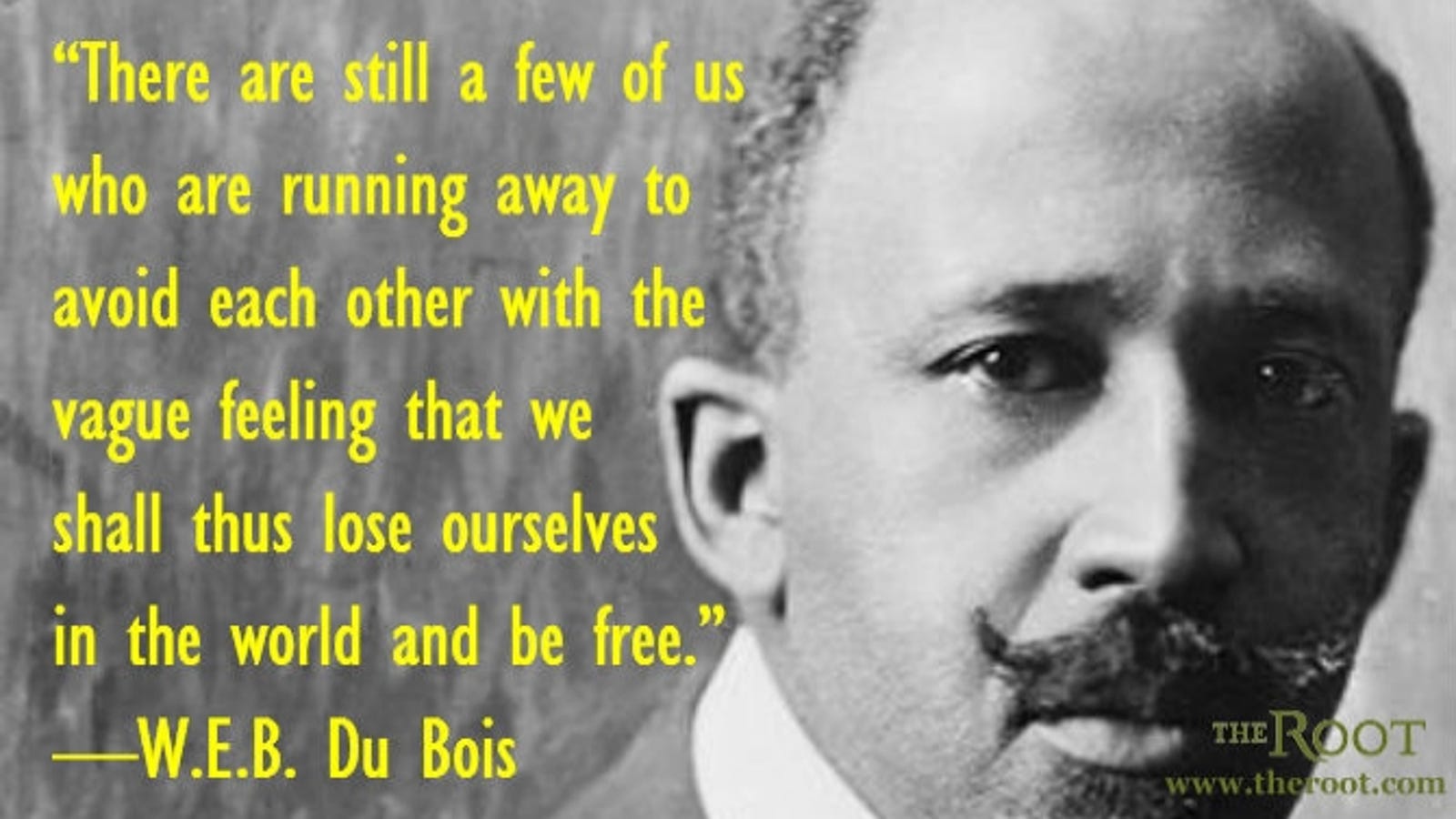 Web Dubois Quotes 93 Images In Collection Page 1