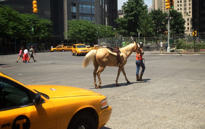 Illustration for article titled A horse is a horse, of course, of course