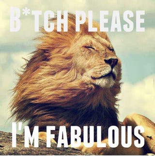 Illustration for article titled I am obsessed with the meme "Bitch, Please! I'm Fabulous."