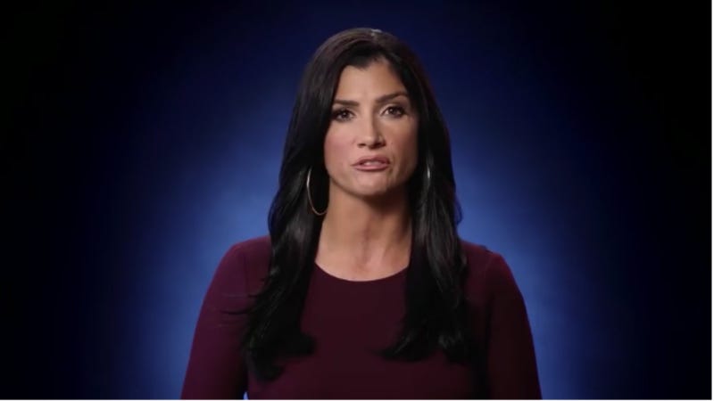 Dana Loesch Can't Believe People Are So Angry About Her NRA Ad That All But Calls for Civil War