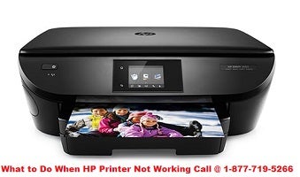Illustration for article titled What to Do When HP Printer Not Working