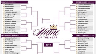 Presenting The 2018 Name Of The Year Bracket <em>