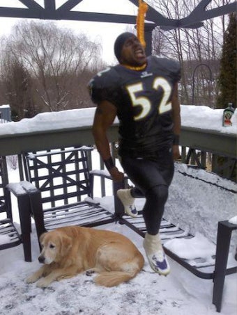 Illustration for article titled Here's A Picture Of Ray Lewis Hanging In Effigy Near Pittsburgh