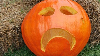 Illustration for article titled Is Halloween Cancelled on the East Coast?
