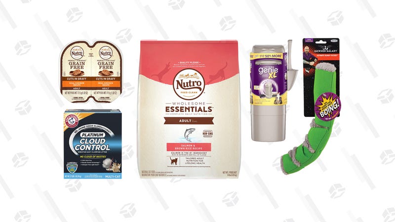Feline Essentials Gold Box | Amazon