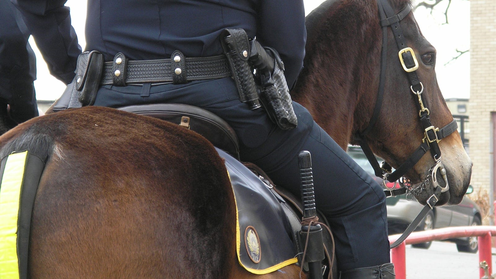 Black Man Walked on Rope by Mounted Police Has Mental Illness, According to Family