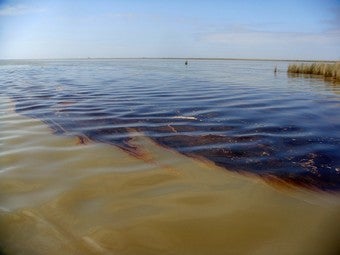 Illustration for article titled Hidden Cause Of Oil Spill: Porn