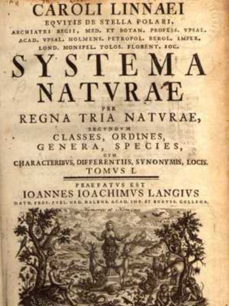 Illustration for article titled 15 Facts You Ought to Know About Race