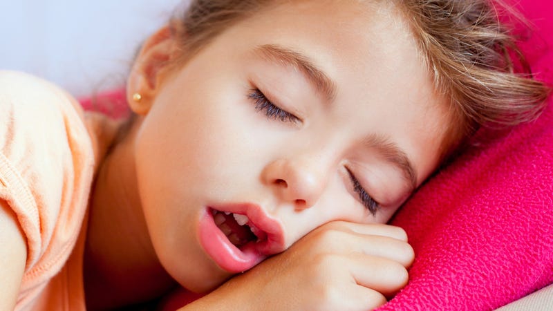 Illustration for article titled Bugs Are Pooping Diseases Into Your Mouth While You Sleep