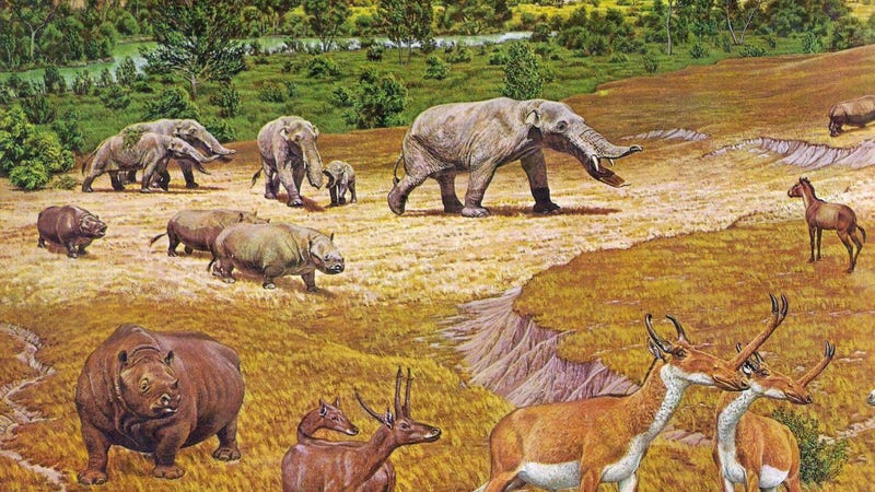Interpreting Texas wildlife by an artist about 11 to 12 million years ago.