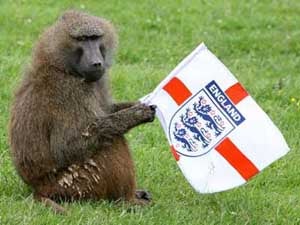 Illustration for article titled England Gets An Opposable Thumbs Up