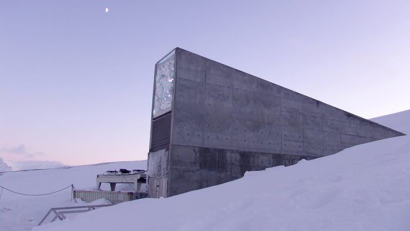 Illustration for article titled Doomsday Seed Vault Adds 20k New CropsâIncluding Beer Barley
