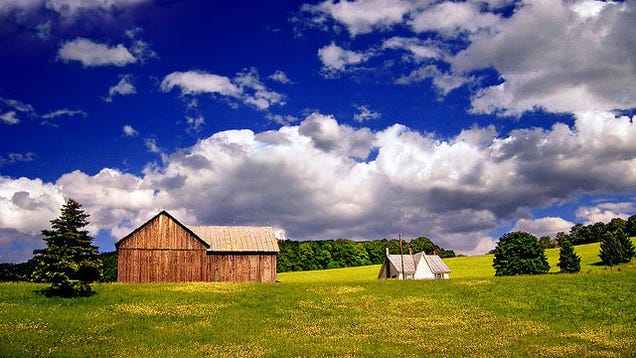 Why Rural Living May Make Sense for You