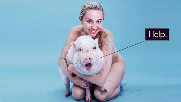 Miley Loves Bacon
