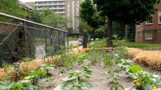 Photo by Afi-Odelia E. Scruggs