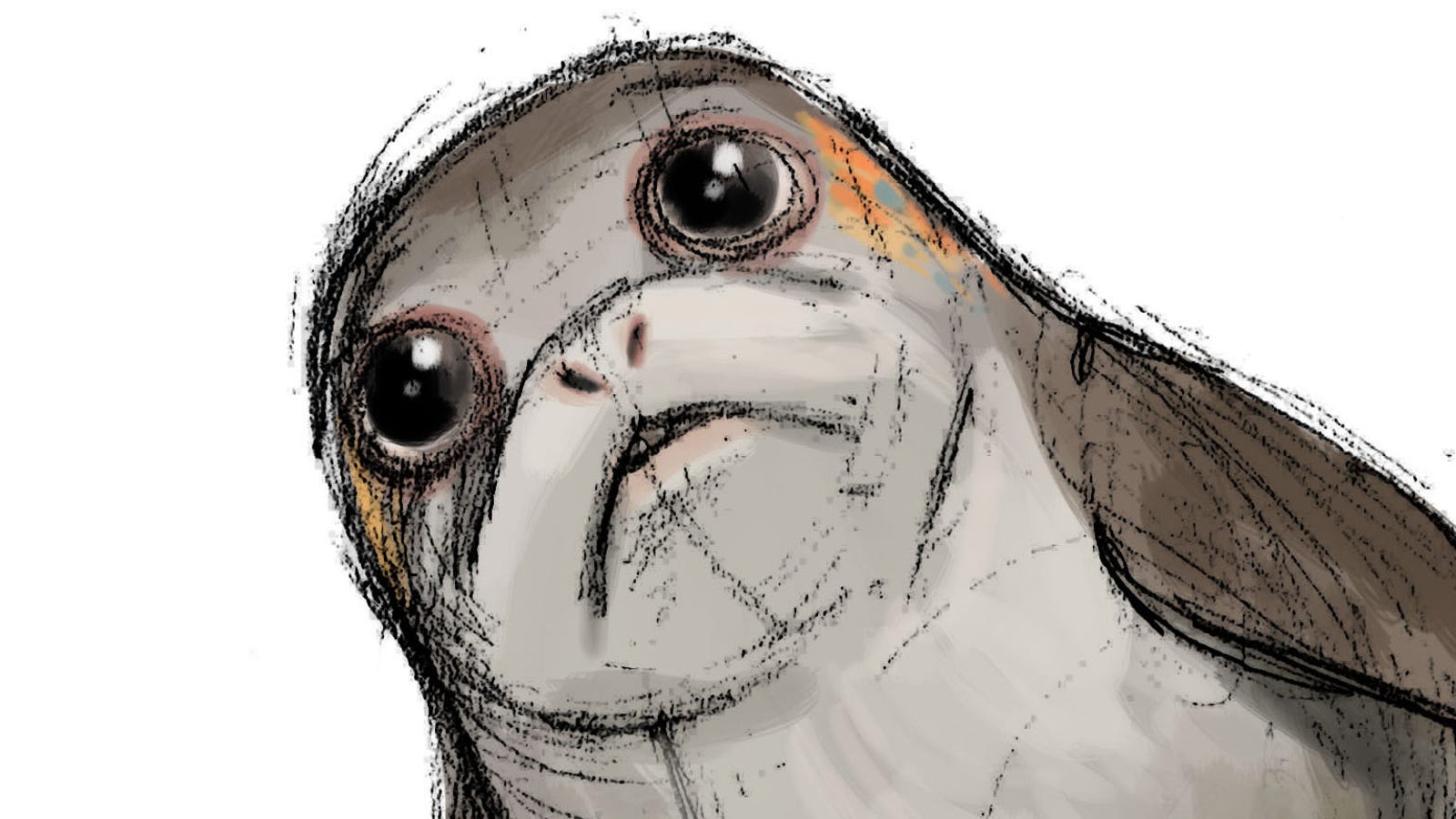 Here's More Information About The Last Jedi's Breakout Stars, the Porgs